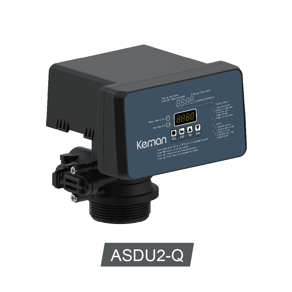 ASDU2