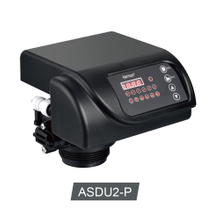 ASDU2