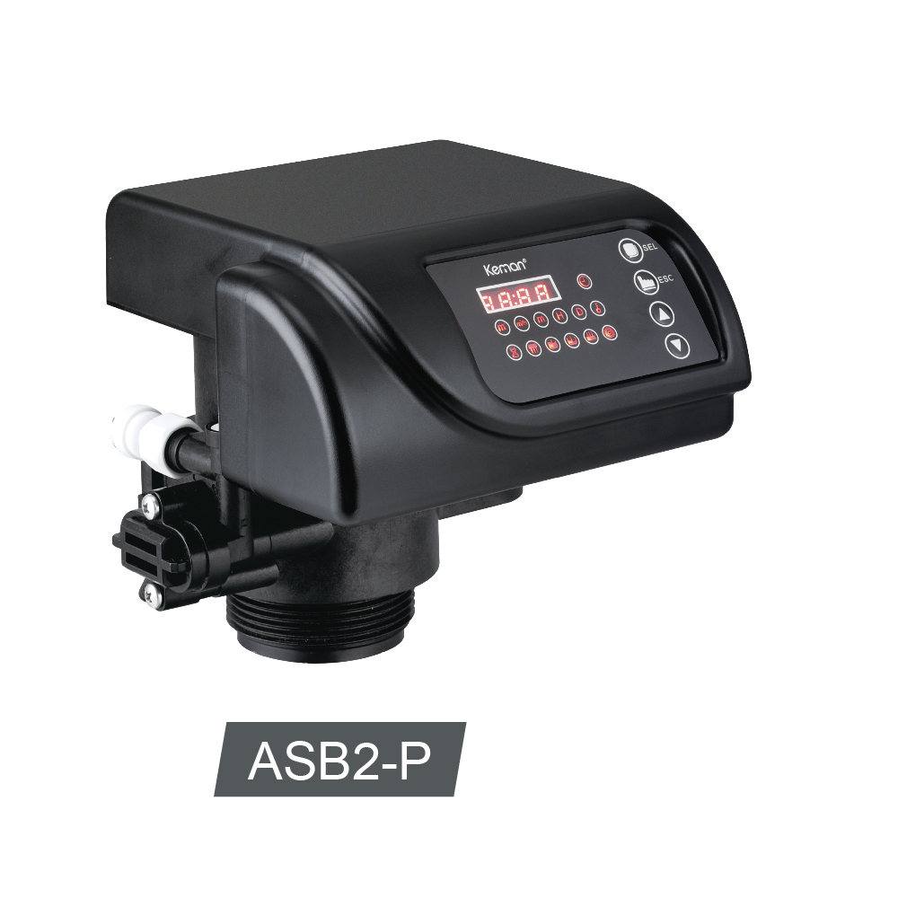 ASB2