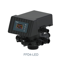 Filter-Filter-Softener Valve